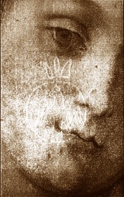 [Book cover]